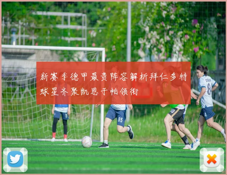 新赛季德甲最贵阵容解析拜仁多特球星齐聚凯恩于帕领衔
